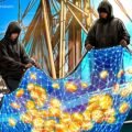 DefiLlama delayed mobile launch over phishing apps on Apple Store, founder says